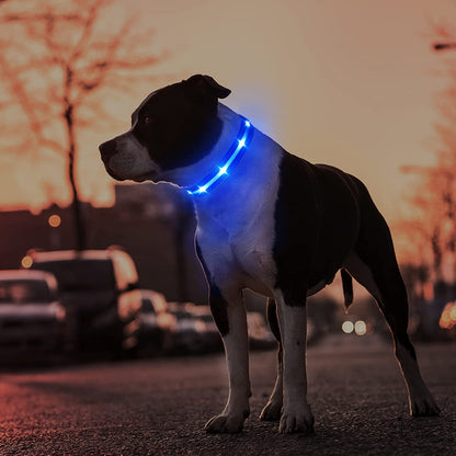 Led Dog Collar-Rechargeable Light up Dog Collars Water-Resistant Lighted Dog Collar Flashing Glowing Dog Collar Night Walking Collar for Dogs