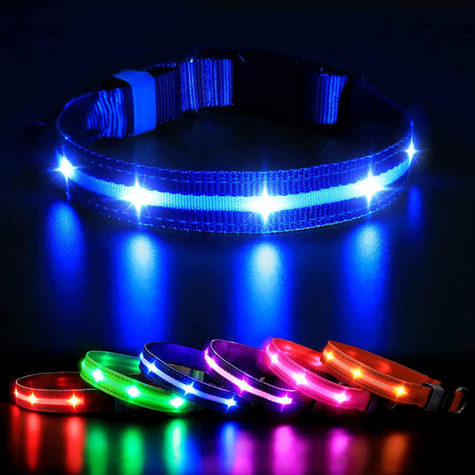 Led Dog Collar-Rechargeable Light up Dog Collars Water-Resistant Lighted Dog Collar Flashing Glowing Dog Collar Night Walking Collar for Dogs